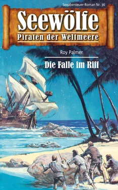 Roy Palmer Seewölfe - Piraten der Weltmeere 36 обложка книги