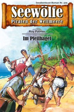 Roy Palmer Seewölfe - Piraten der Weltmeere 429 обложка книги