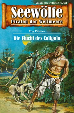 Roy Palmer Seewölfe - Piraten der Weltmeere 381 обложка книги