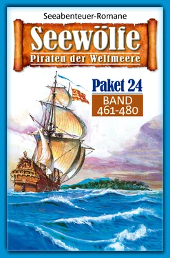 Roy Palmer Seewölfe Paket 24 обложка книги