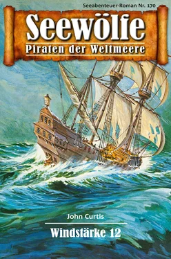 John Curtis Seewölfe - Piraten der Weltmeere 170 обложка книги