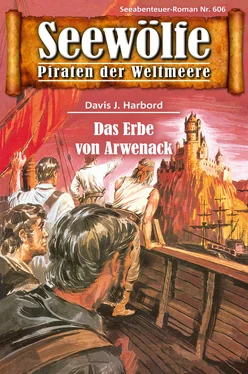 Davis J.Harbord Seewölfe - Piraten der Weltmeere 606 обложка книги