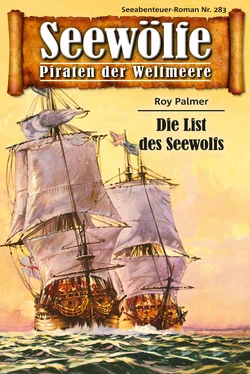 Roy Palmer Seewölfe - Piraten der Weltmeere 283 обложка книги