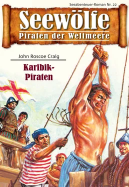 John Roscoe Craig Seewölfe - Piraten der Weltmeere 22 обложка книги