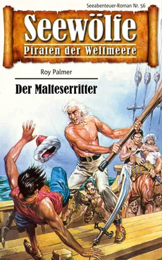 Roy Palmer Seewölfe - Piraten der Weltmeere 56 обложка книги