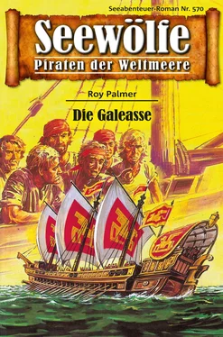 Roy Palmer Seewölfe - Piraten der Weltmeere 570 обложка книги