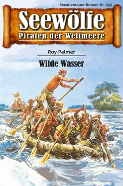 Roy Palmer Seewölfe - Piraten der Weltmeere 552 обложка книги