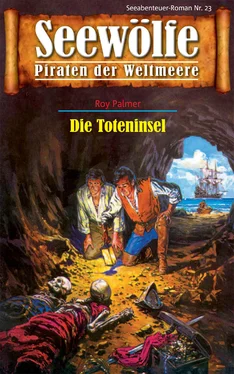 Roy Palmer Seewölfe - Piraten der Weltmeere 23 обложка книги