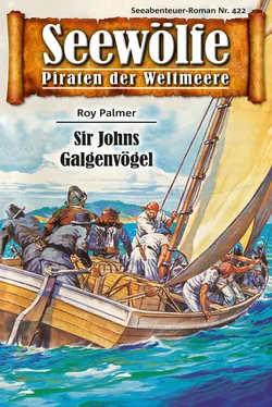 Roy Palmer Seewölfe - Piraten der Weltmeere 422 обложка книги