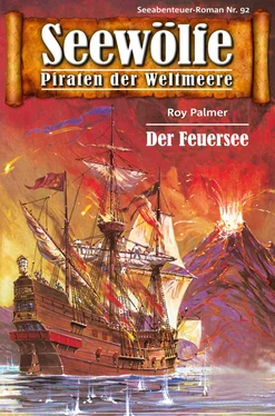 Roy Palmer Seewölfe - Piraten der Weltmeere 92 обложка книги