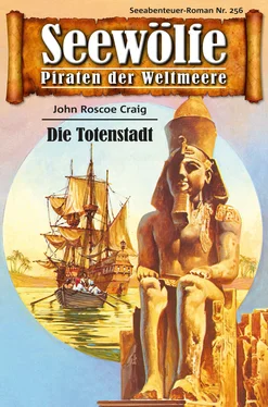John Roscoe Craig Seewölfe - Piraten der Weltmeere 256 обложка книги