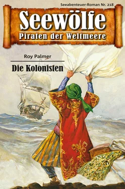 Roy Palmer Seewölfe - Piraten der Weltmeere 218 обложка книги