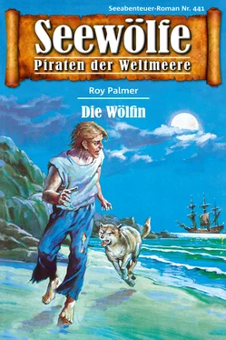 Roy Palmer Seewölfe - Piraten der Weltmeere 441 обложка книги