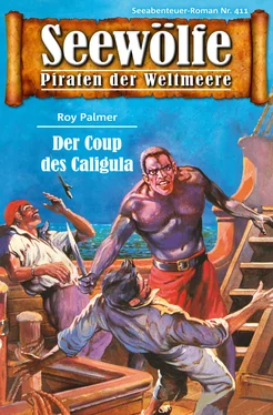Roy Palmer Seewölfe - Piraten der Weltmeere 411 обложка книги