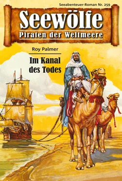 Roy Palmer Seewölfe - Piraten der Weltmeere 259 обложка книги