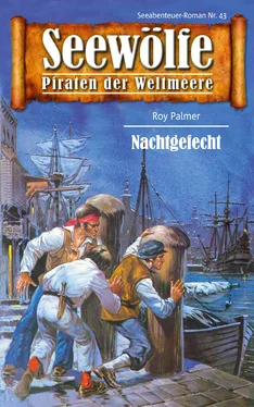 Roy Palmer Seewölfe - Piraten der Weltmeere 43 обложка книги