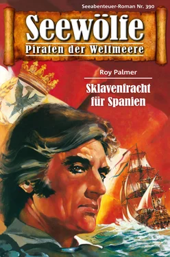 Roy Palmer Seewölfe - Piraten der Weltmeere 390 обложка книги