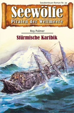 Roy Palmer Seewölfe - Piraten der Weltmeere 34 обложка книги