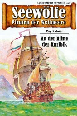 Roy Palmer Seewölfe - Piraten der Weltmeere 454 обложка книги