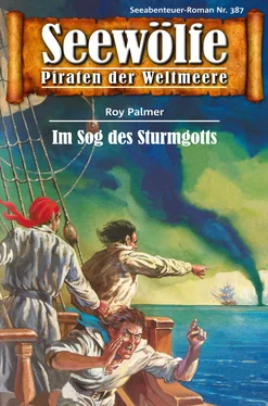 Roy Palmer Seewölfe - Piraten der Weltmeere 387 обложка книги