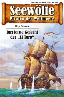 Roy Palmer Seewölfe - Piraten der Weltmeere 455 обложка книги