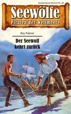 Roy Palmer Seewölfe - Piraten der Weltmeere 48 обложка книги