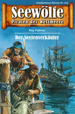 Roy Palmer Seewölfe - Piraten der Weltmeere 205 обложка книги