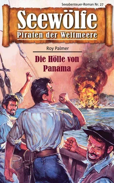 Roy Palmer Seewölfe - Piraten der Weltmeere 27 обложка книги
