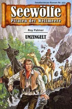 Roy Palmer Seewölfe - Piraten der Weltmeere 553 обложка книги