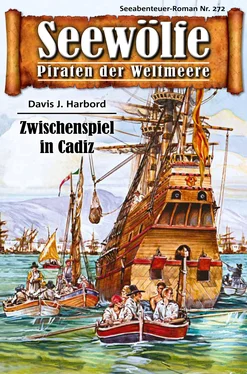 Davis J. Harbord Seewölfe - Piraten der Weltmeere 272 обложка книги