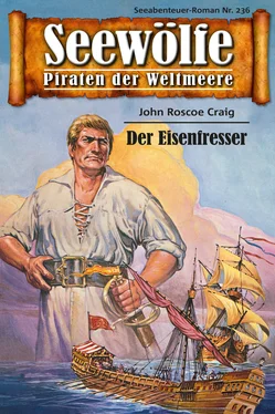 John Roscoe Craig Seewölfe - Piraten der Weltmeere 236 обложка книги