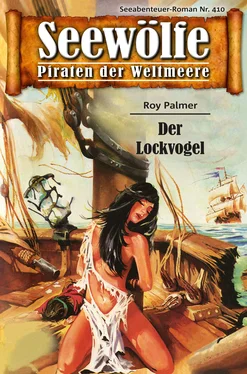Roy Palmer Seewölfe - Piraten der Weltmeere 410 обложка книги