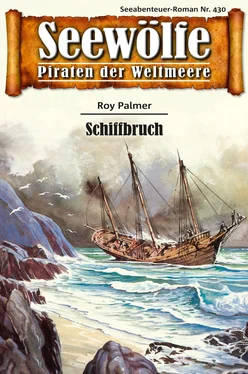 Roy Palmer Seewölfe - Piraten der Weltmeere 430 обложка книги