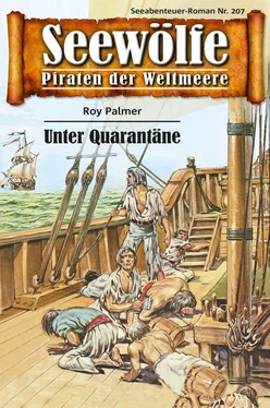 Roy Palmer Seewölfe - Piraten der Weltmeere 207 обложка книги