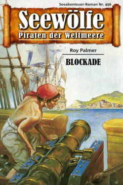 Roy Palmer Seewölfe - Piraten der Weltmeere 496 обложка книги
