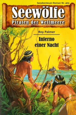 Roy Palmer Seewölfe - Piraten der Weltmeere 403 обложка книги