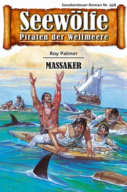 Roy Palmer Seewölfe - Piraten der Weltmeere 458 обложка книги