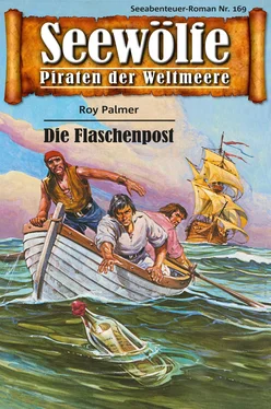 Roy Palmer Seewölfe - Piraten der Weltmeere 169 обложка книги