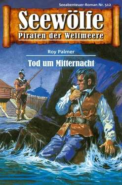 Roy Palmer Seewölfe - Piraten der Weltmeere 512 обложка книги