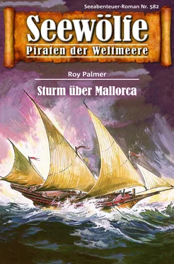 Roy Palmer Seewölfe - Piraten der Weltmeere 582 обложка книги