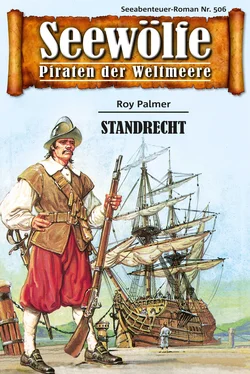 Roy Palmer Seewölfe - Piraten der Weltmeere 506 обложка книги