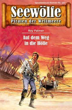 Roy Palmer Seewölfe - Piraten der Weltmeere 507 обложка книги