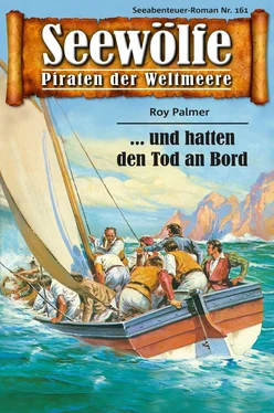 Roy Palmer Seewölfe - Piraten der Weltmeere 161 обложка книги