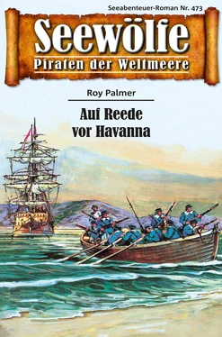 Roy Palmer Seewölfe - Piraten der Weltmeere 473 обложка книги