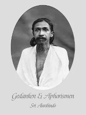 Sri Aurobindo Gedanken und Aphorismen обложка книги