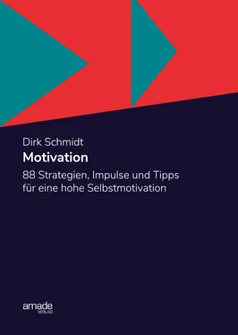 Dirk Schmidt Motivation обложка книги