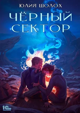 Юлия Шолох Чёрный сектор. Книга 1 обложка книги