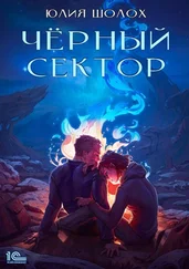 Юлия Шолох - Чёрный сектор. Книга 1