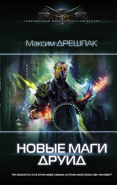 Максим Дрешпак Новые маги. Друид обложка книги