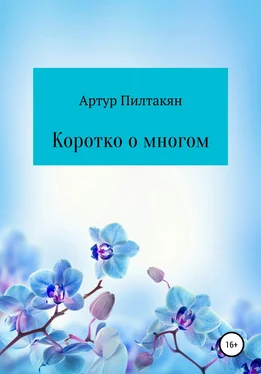 Артур Пилтакян Коротко о многом обложка книги